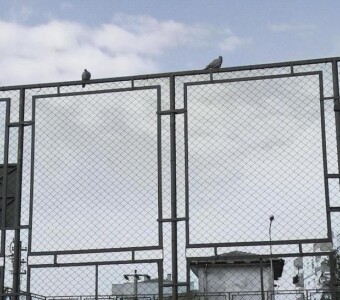 Pano Çit Pano Çit - Credit: Image by @drinkcold on Unsplash - https://unsplash.com/photos/K9hcVw-aB8M